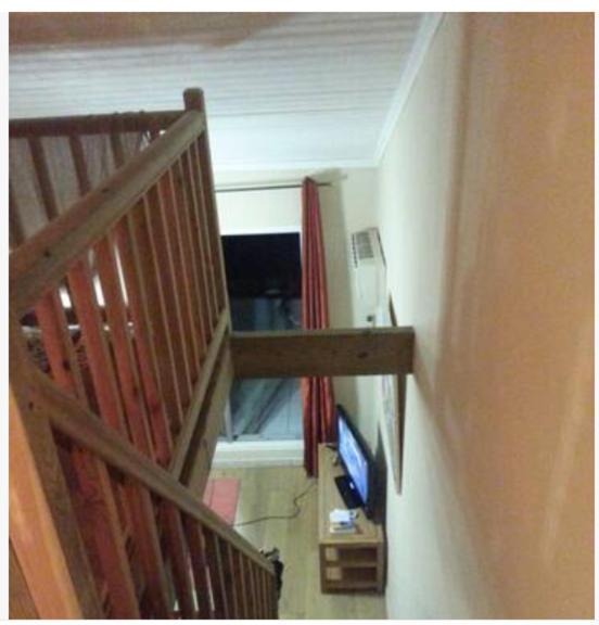 Les Aigrettes St Gilles Les Bains Apartman Saint-Paul Kültér fotó